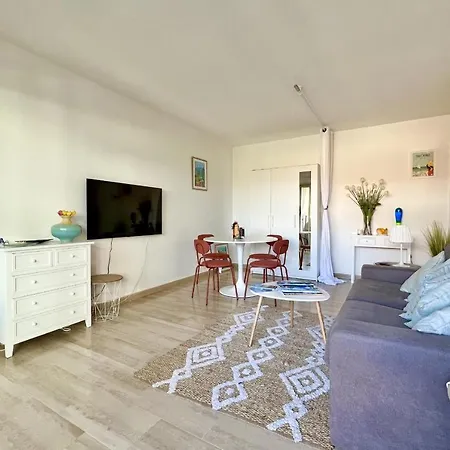 Beautiful Flat With Terrace Near Croisette Apartment Cannes