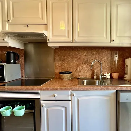 Beautiful Flat With Terrace Near Croisette *
