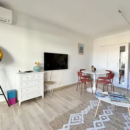 Beautiful Flat With Terrace Near Croisette Apartment